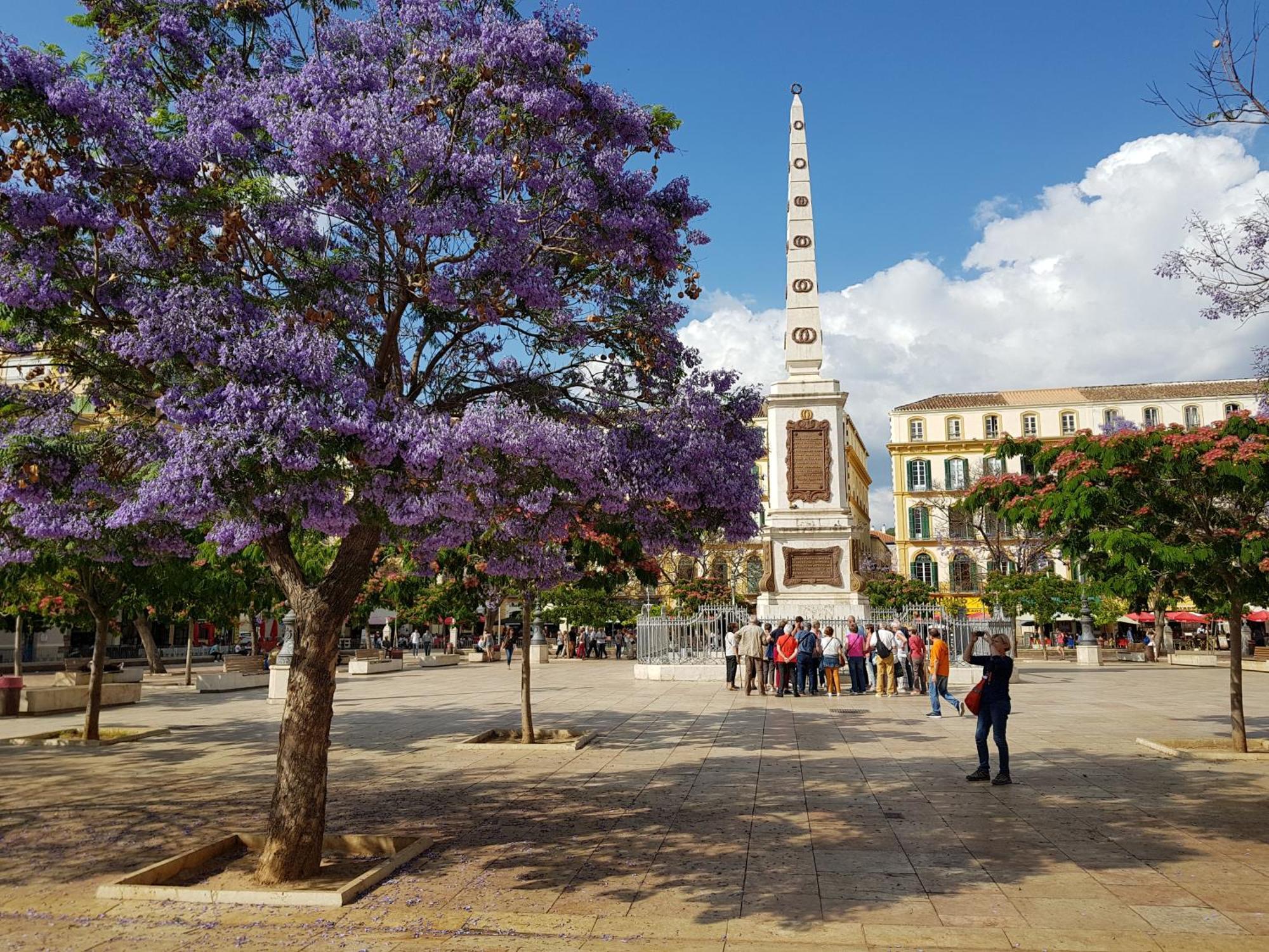 Malaga Paradise المظهر الخارجي الصورة